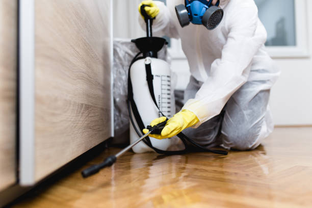 Best Mosquito Control Services  in Youngstown, OH