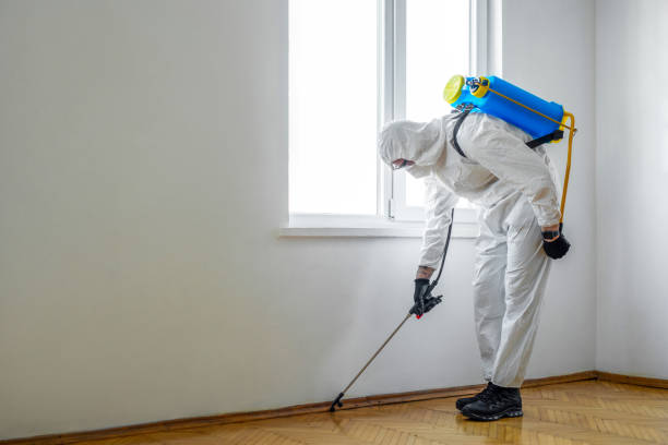 Best Emergency Pest Control  in Youngstown, OH