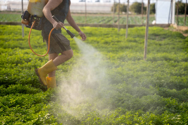 Best Commercial Pest Control Services  in Youngstown, OH