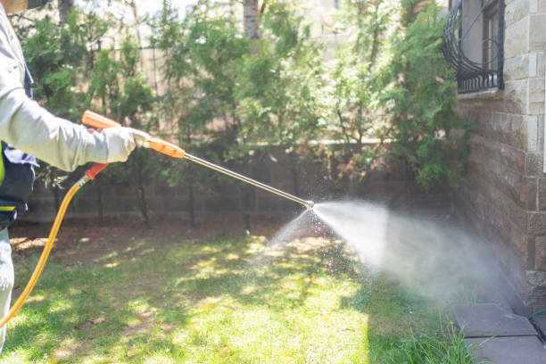 Reliable Youngstown, OH Pest Control Solutions