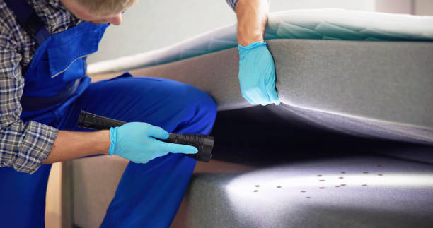 Best Pest Control Near Me  in Youngstown, OH