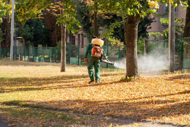 Best Cockroach Control Services  in Youngstown, OH